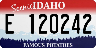 ID license plate E120242