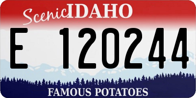 ID license plate E120244