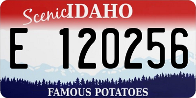 ID license plate E120256