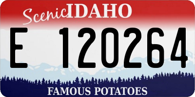 ID license plate E120264