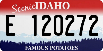ID license plate E120272