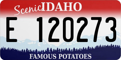 ID license plate E120273