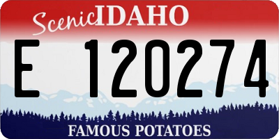 ID license plate E120274