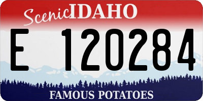 ID license plate E120284