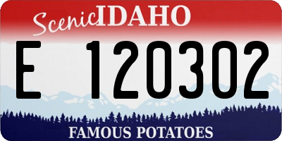 ID license plate E120302