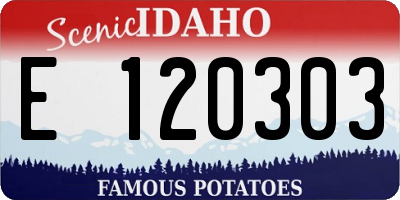 ID license plate E120303