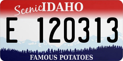 ID license plate E120313