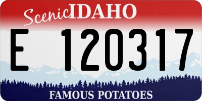 ID license plate E120317