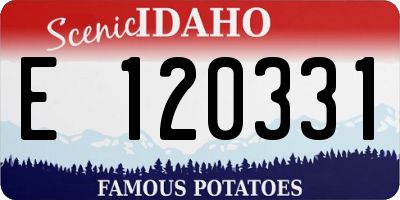 ID license plate E120331