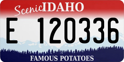 ID license plate E120336