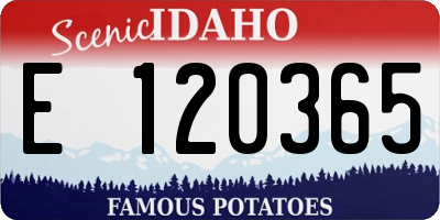 ID license plate E120365