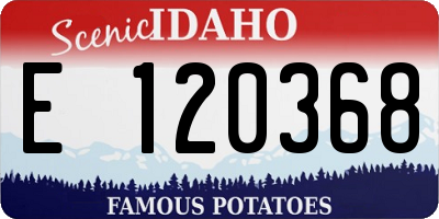 ID license plate E120368