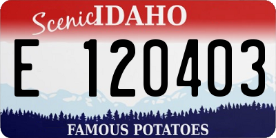 ID license plate E120403