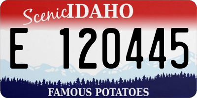 ID license plate E120445