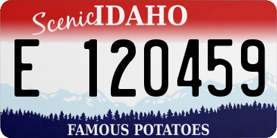 ID license plate E120459