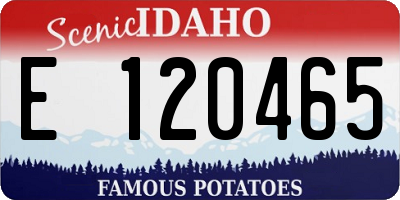 ID license plate E120465
