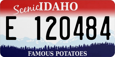 ID license plate E120484