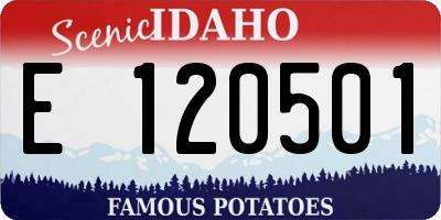 ID license plate E120501