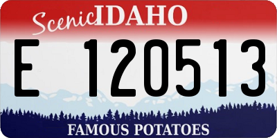 ID license plate E120513