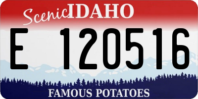 ID license plate E120516