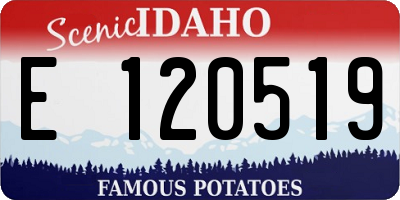 ID license plate E120519
