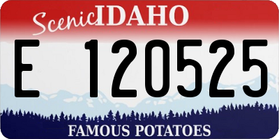 ID license plate E120525