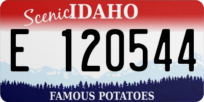 ID license plate E120544