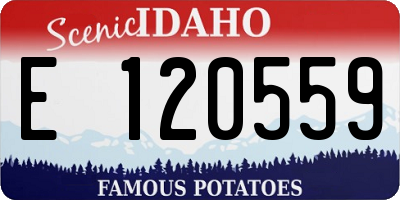 ID license plate E120559