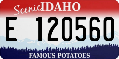 ID license plate E120560