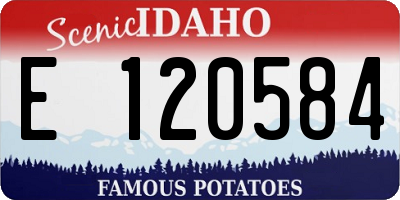 ID license plate E120584