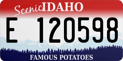 ID license plate E120598