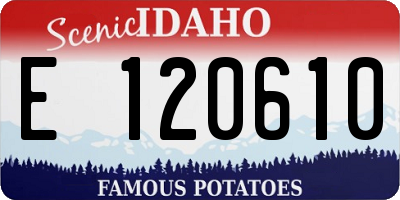 ID license plate E120610