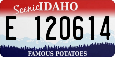ID license plate E120614