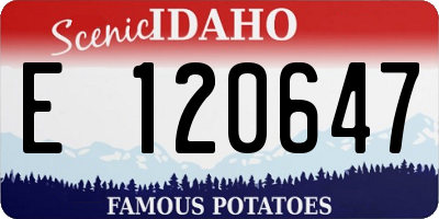 ID license plate E120647