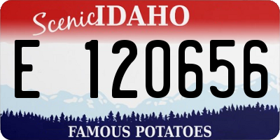 ID license plate E120656