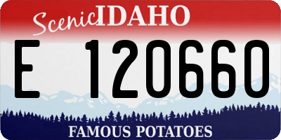ID license plate E120660