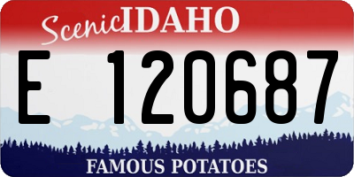 ID license plate E120687