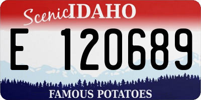 ID license plate E120689