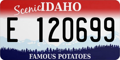 ID license plate E120699