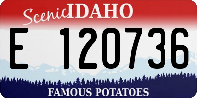 ID license plate E120736
