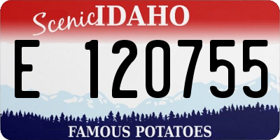 ID license plate E120755