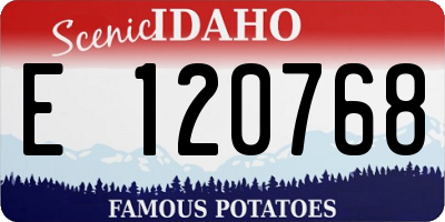 ID license plate E120768