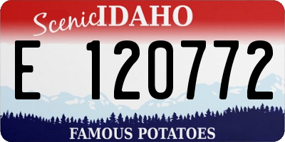 ID license plate E120772