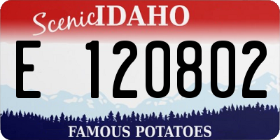 ID license plate E120802