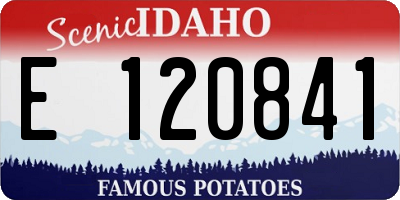 ID license plate E120841