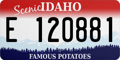 ID license plate E120881