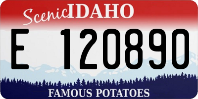 ID license plate E120890