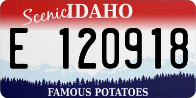 ID license plate E120918