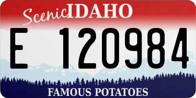 ID license plate E120984