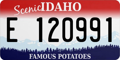 ID license plate E120991